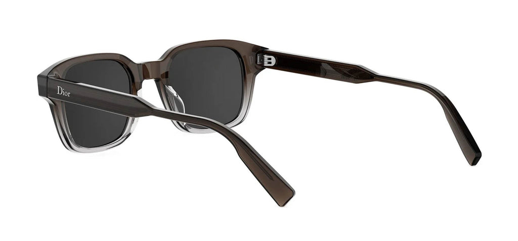 Dior DioRibbon S1I