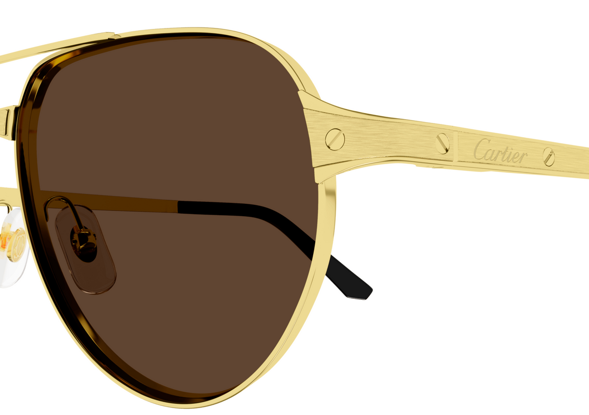 Cartier CT0425S