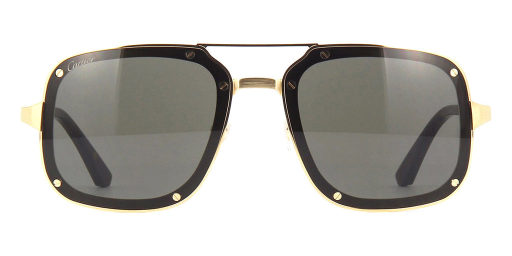 Cartier CT0194S