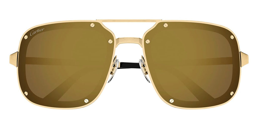 Cartier CT0194S