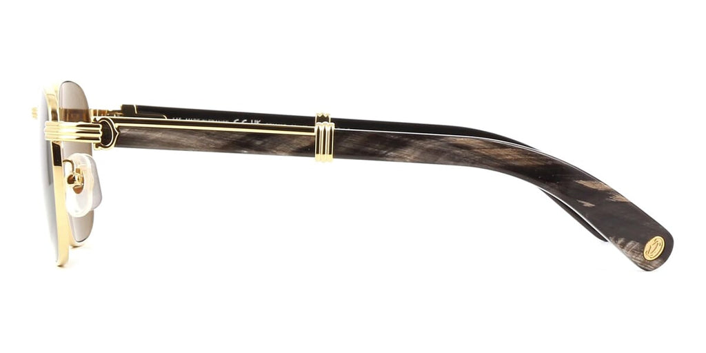 Cartier CT0363S