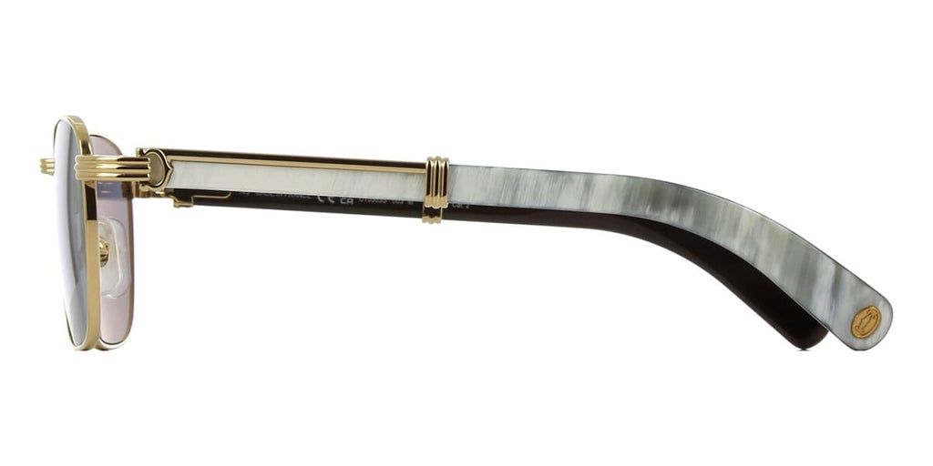 Cartier CT0363S
