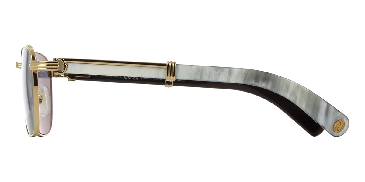Cartier CT0363S