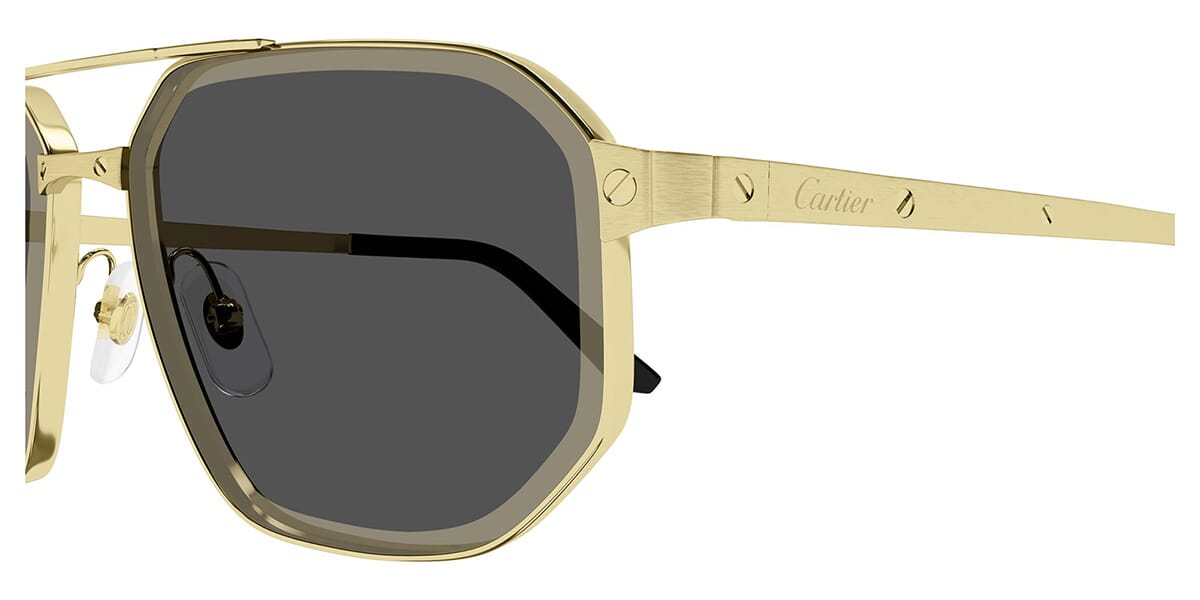 Cartier CT0462S