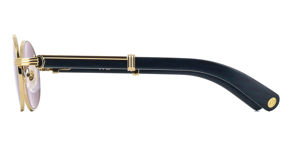 Cartier CT0464S