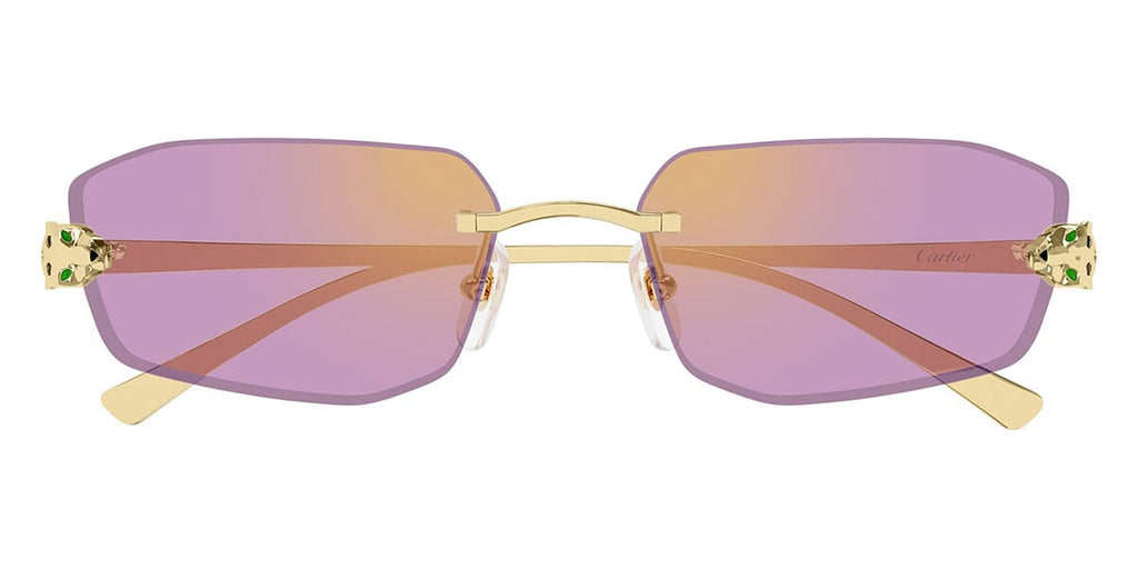 Cartier CT0474S
