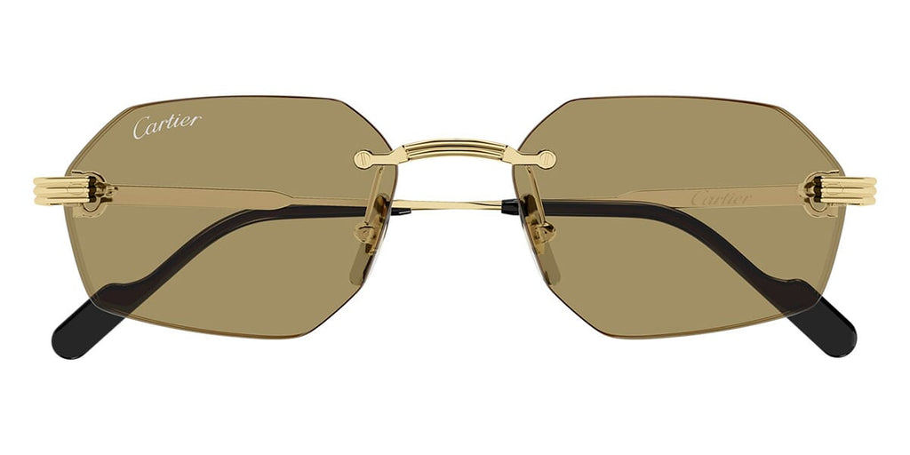 Cartier CT0616S