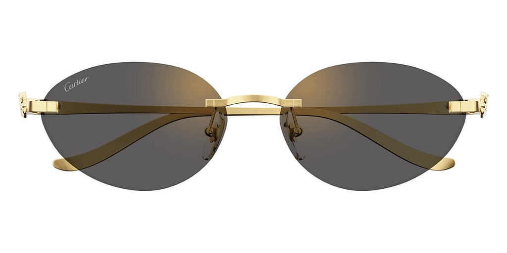 Cartier CT0504S