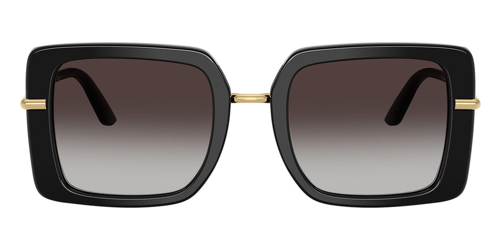 Dolce&Gabbana DG4491