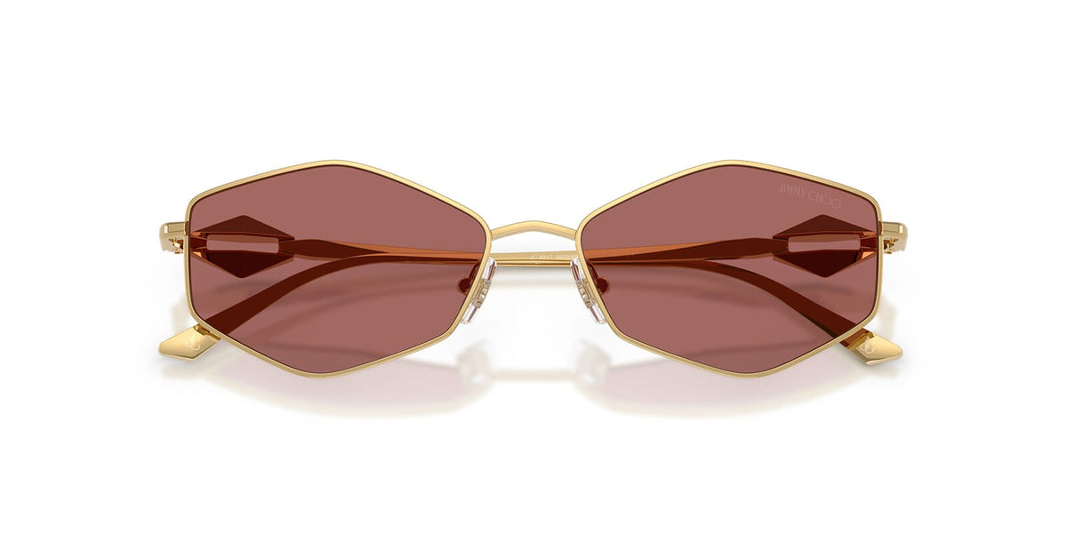 Jimmy Choo JC4017