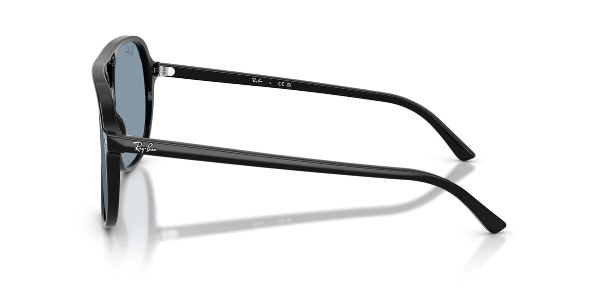 Ray-Ban Bill RB2198