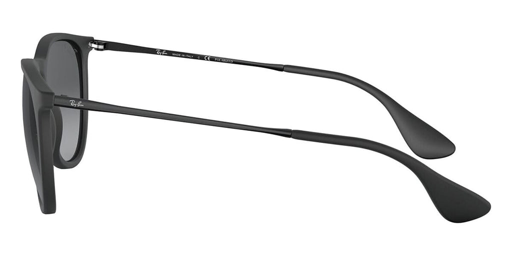 Ray-Ban Erika RB4171
