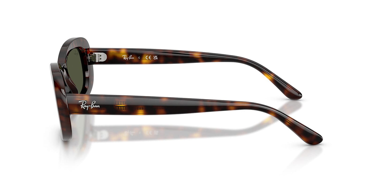 Ray-Ban RB2221