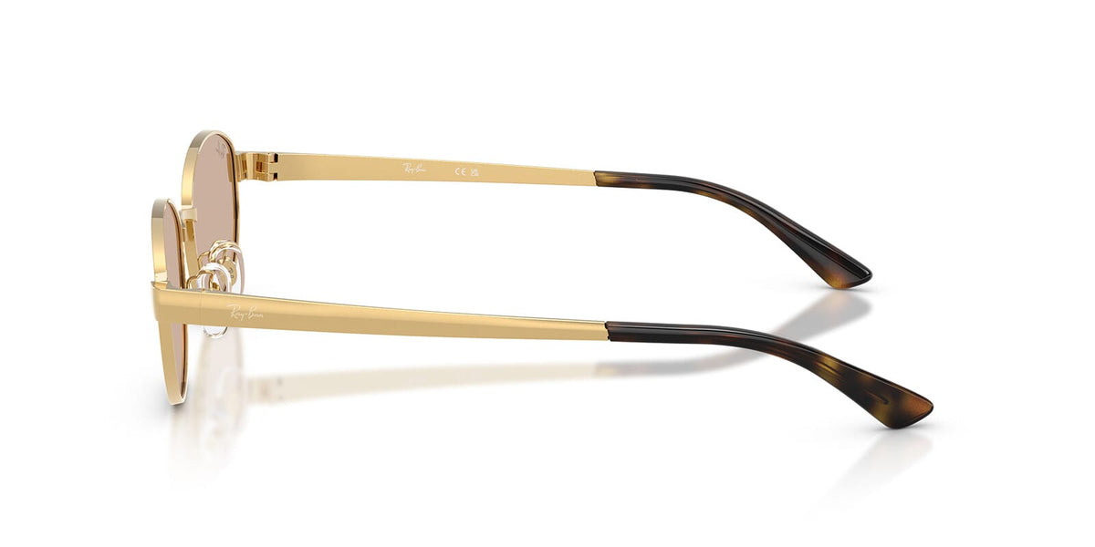 Ray-Ban RB3774D