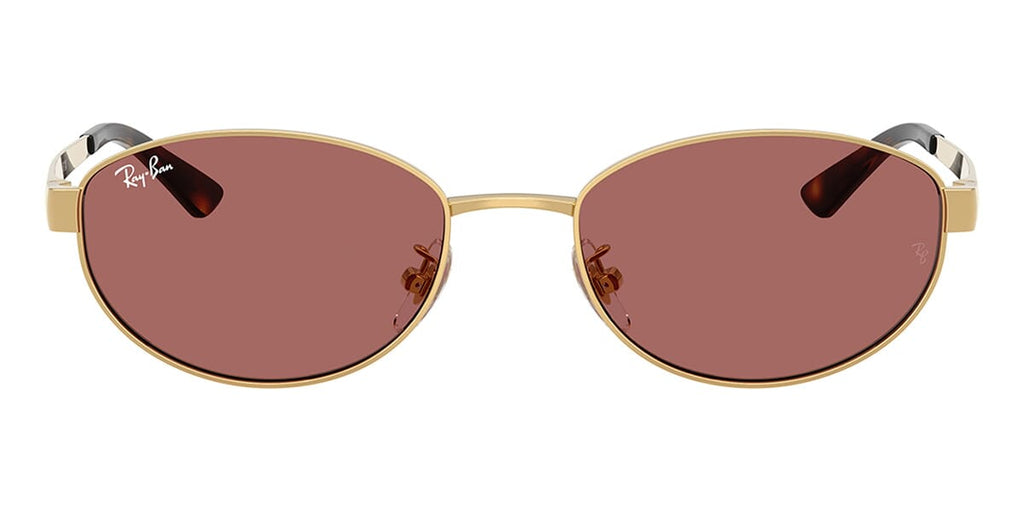 Ray-Ban RB3774D
