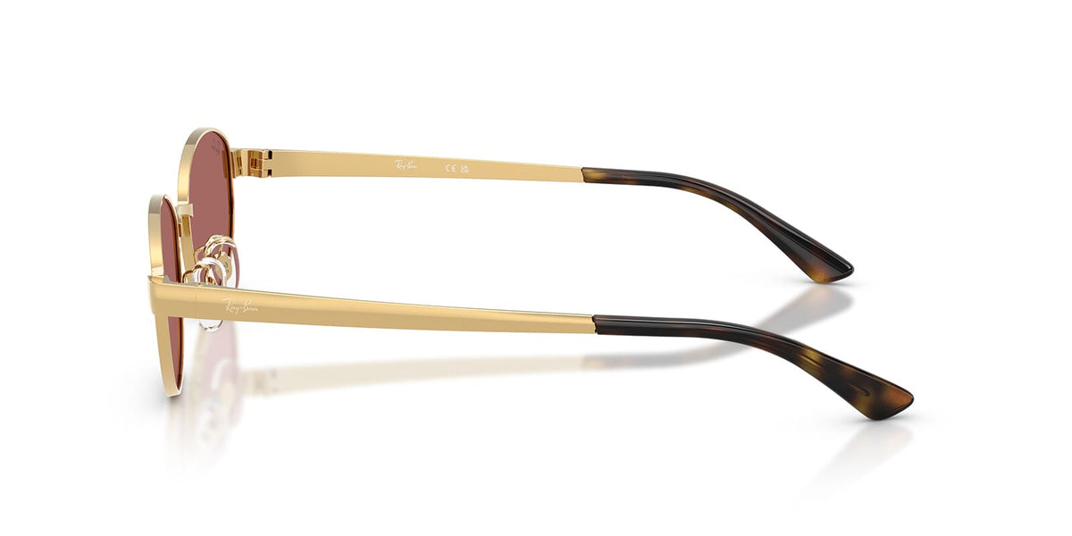 Ray-Ban RB3774D