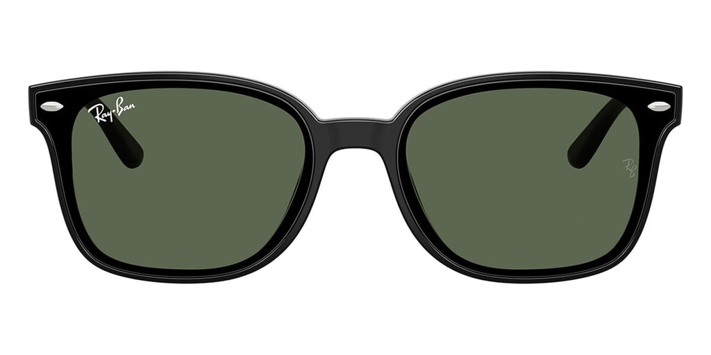 Ray-Ban RB4461D