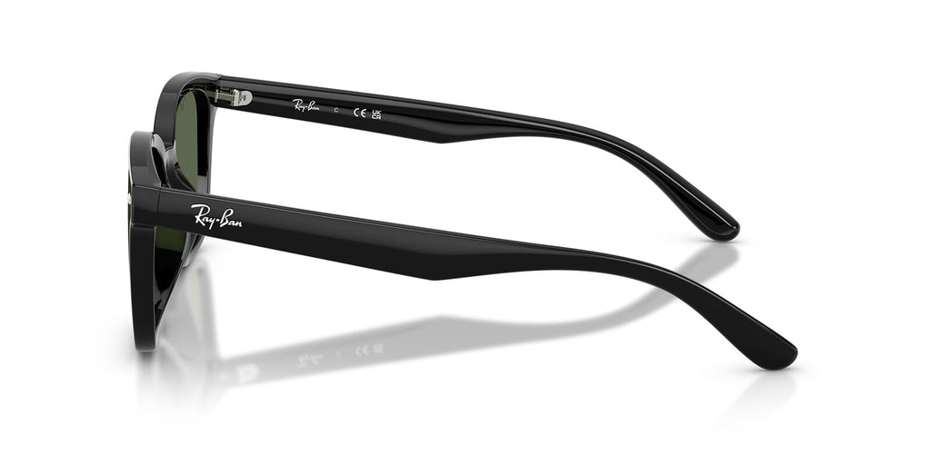 Ray-Ban RB4461D