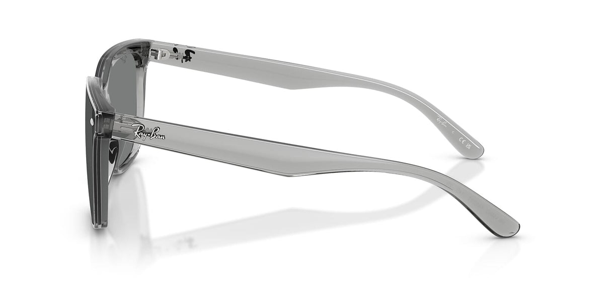 Ray-Ban RB4466D