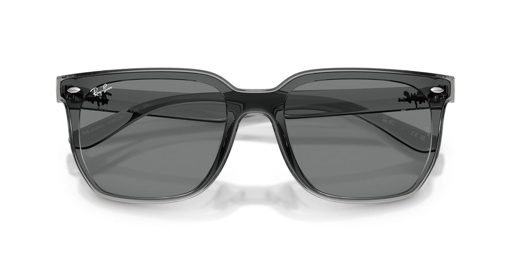 Ray-Ban RB4466D