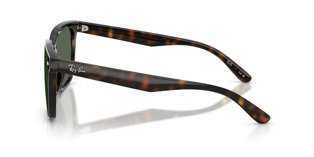 Ray-Ban RB4466D