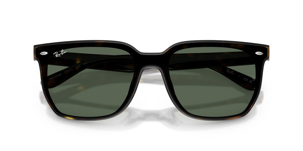 Ray-Ban RB4466D