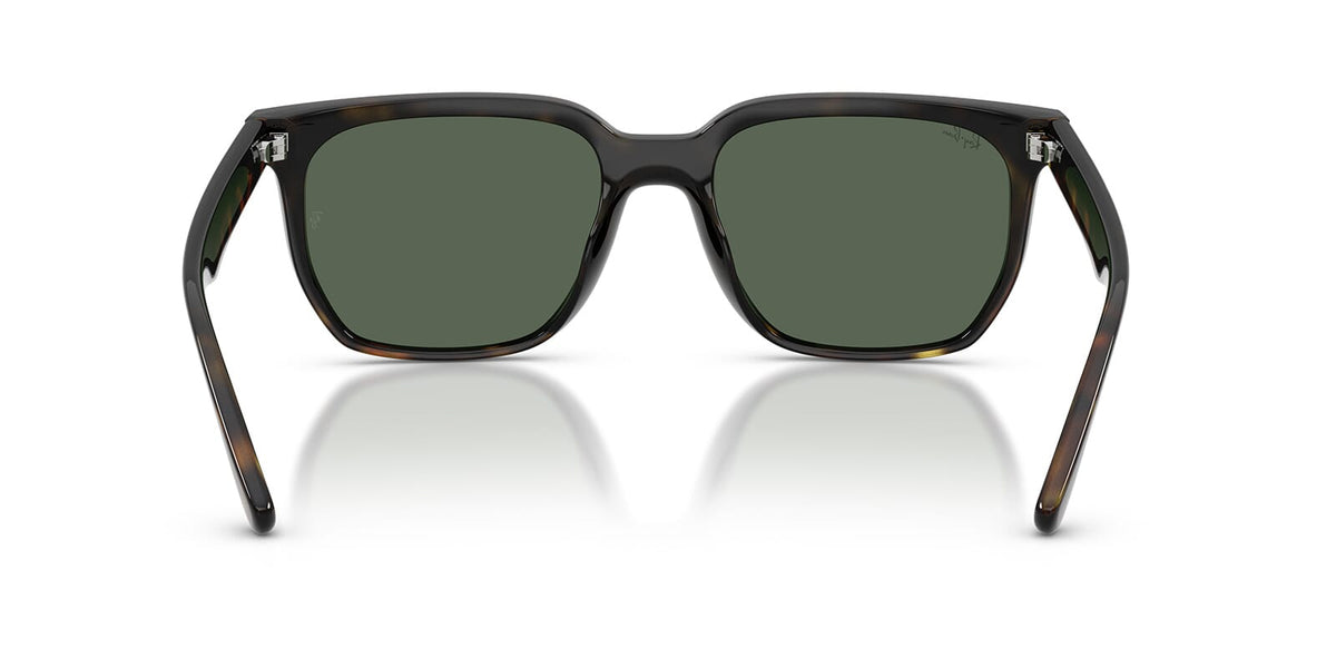 Ray-Ban RB4466D