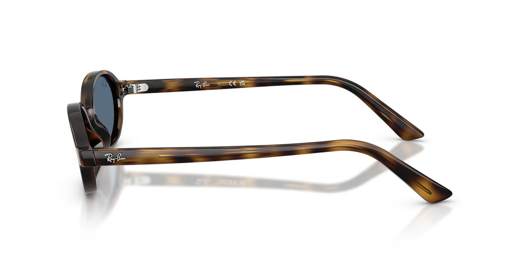 Ray-Ban RB4472