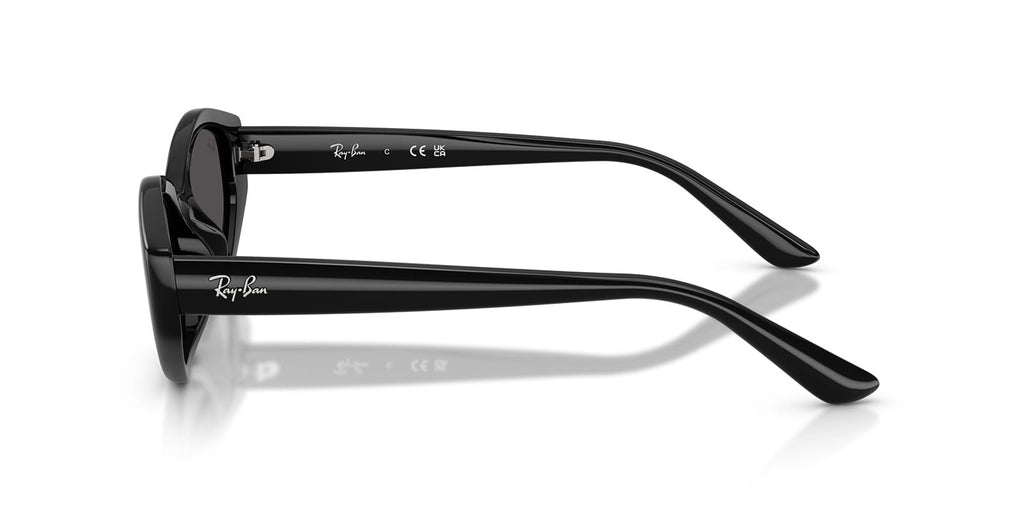 Ray-Ban RB4473D