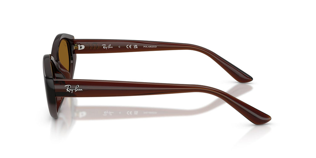 Ray-Ban RB4473D